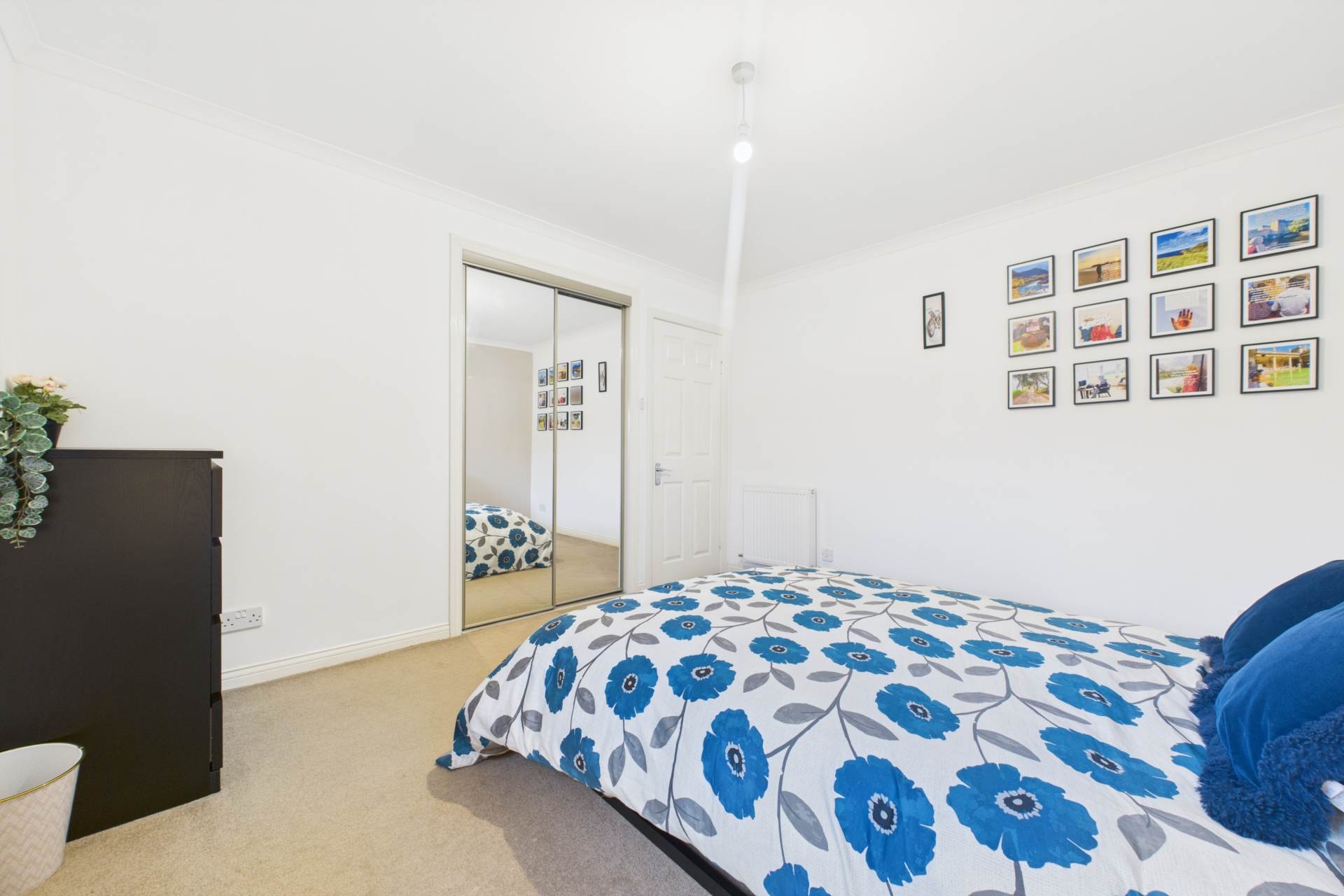 Armour Grove, Motherwell