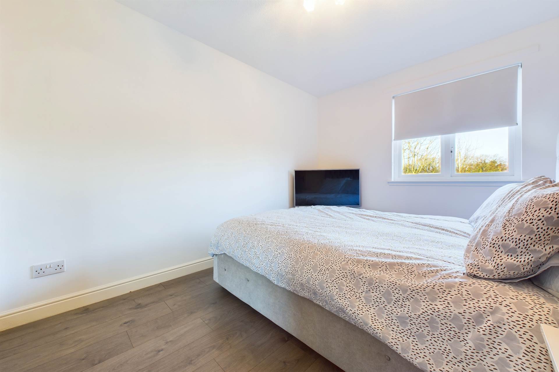 Hollandbush Grove, Hamilton
