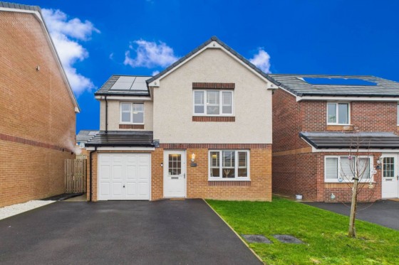 McIntosh Gardens, Carluke