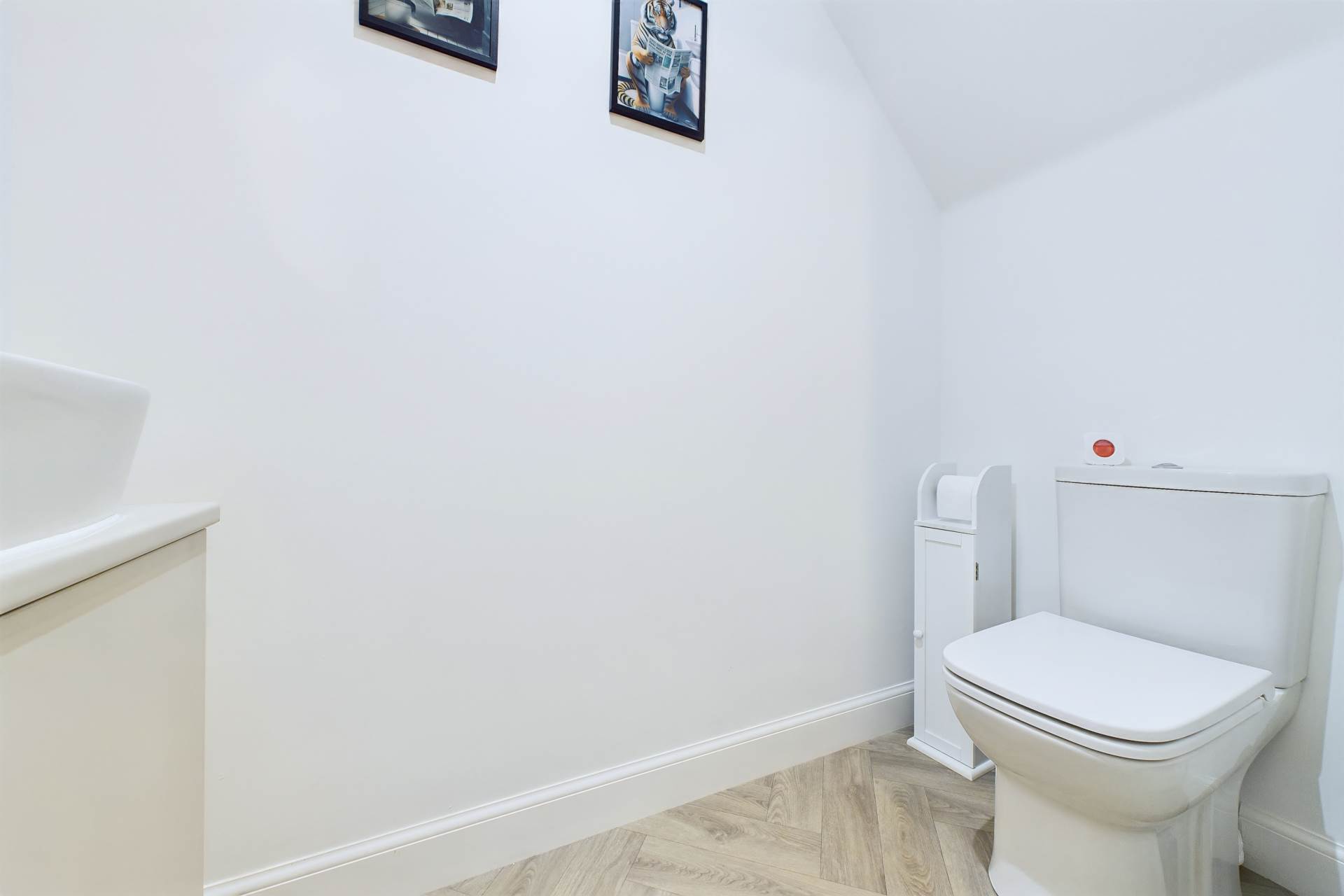 Shorthorn Terrace, Hamilton