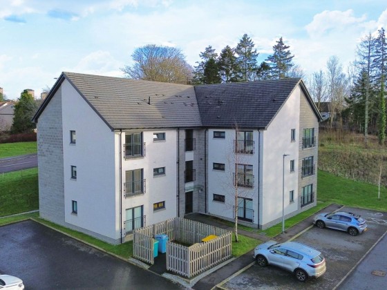 Paragon Drive, Motherwell