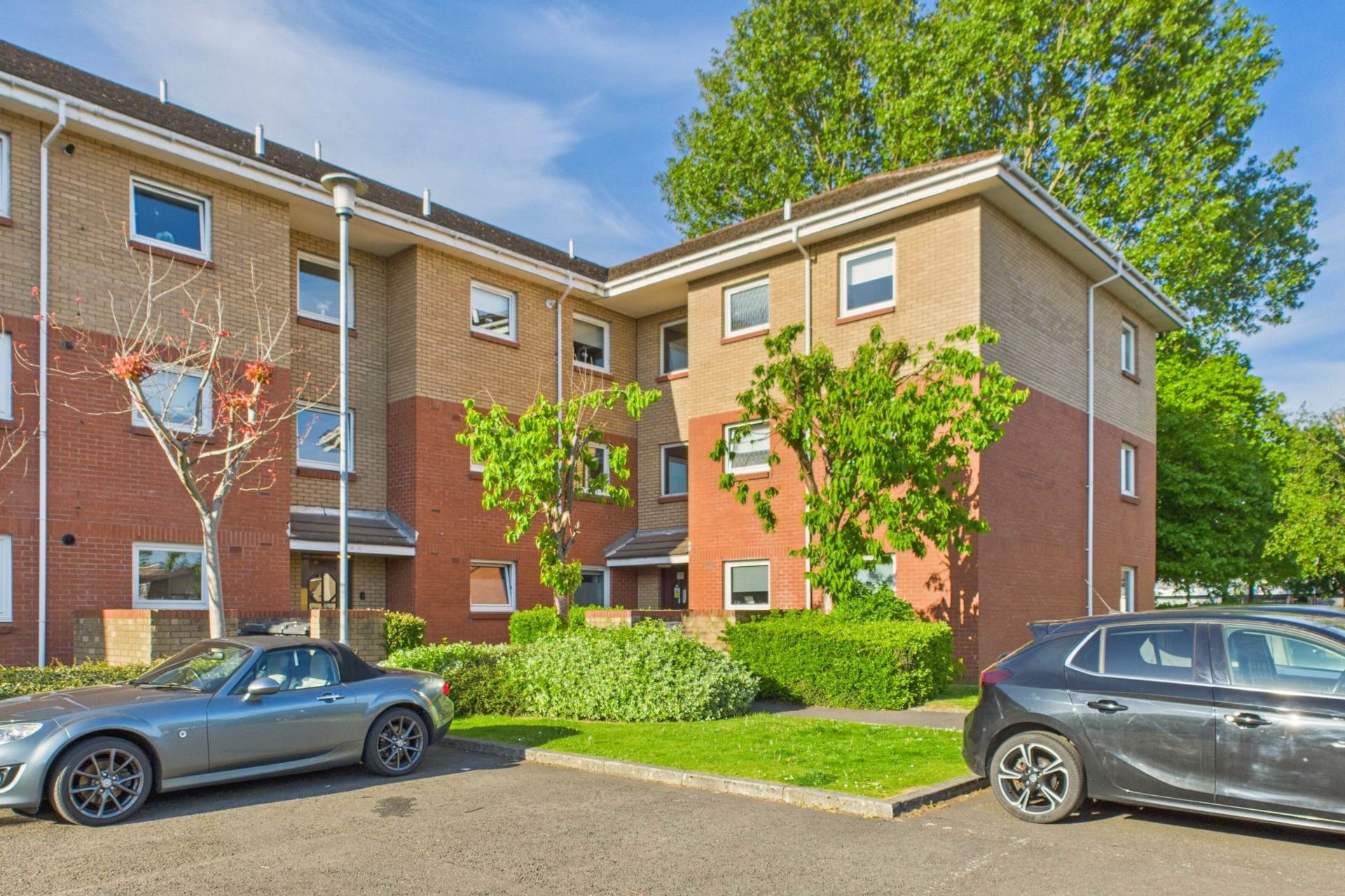 McCourt Gardens, Bellshill