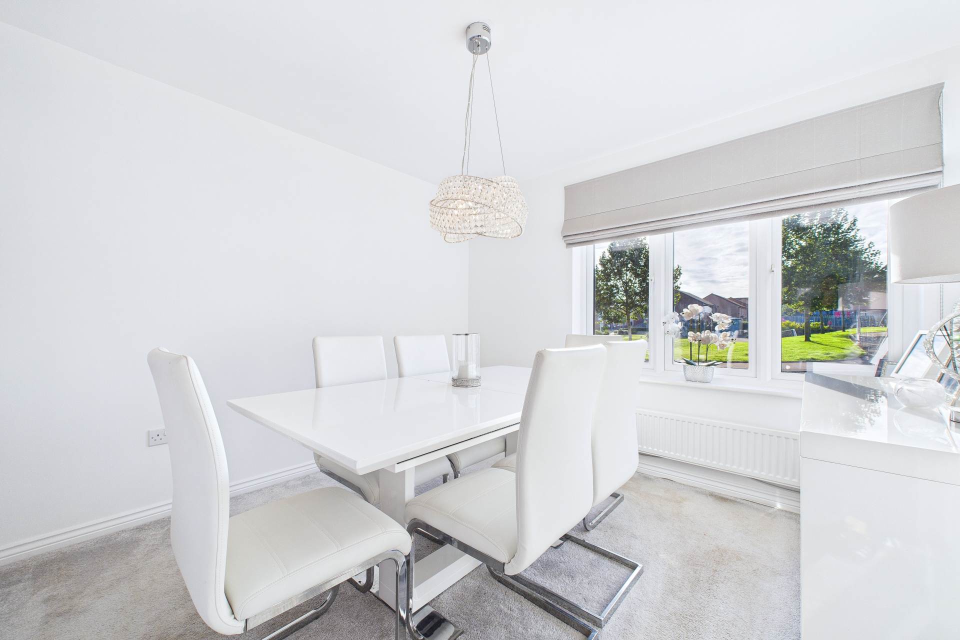 Macauley Way, Hamilton