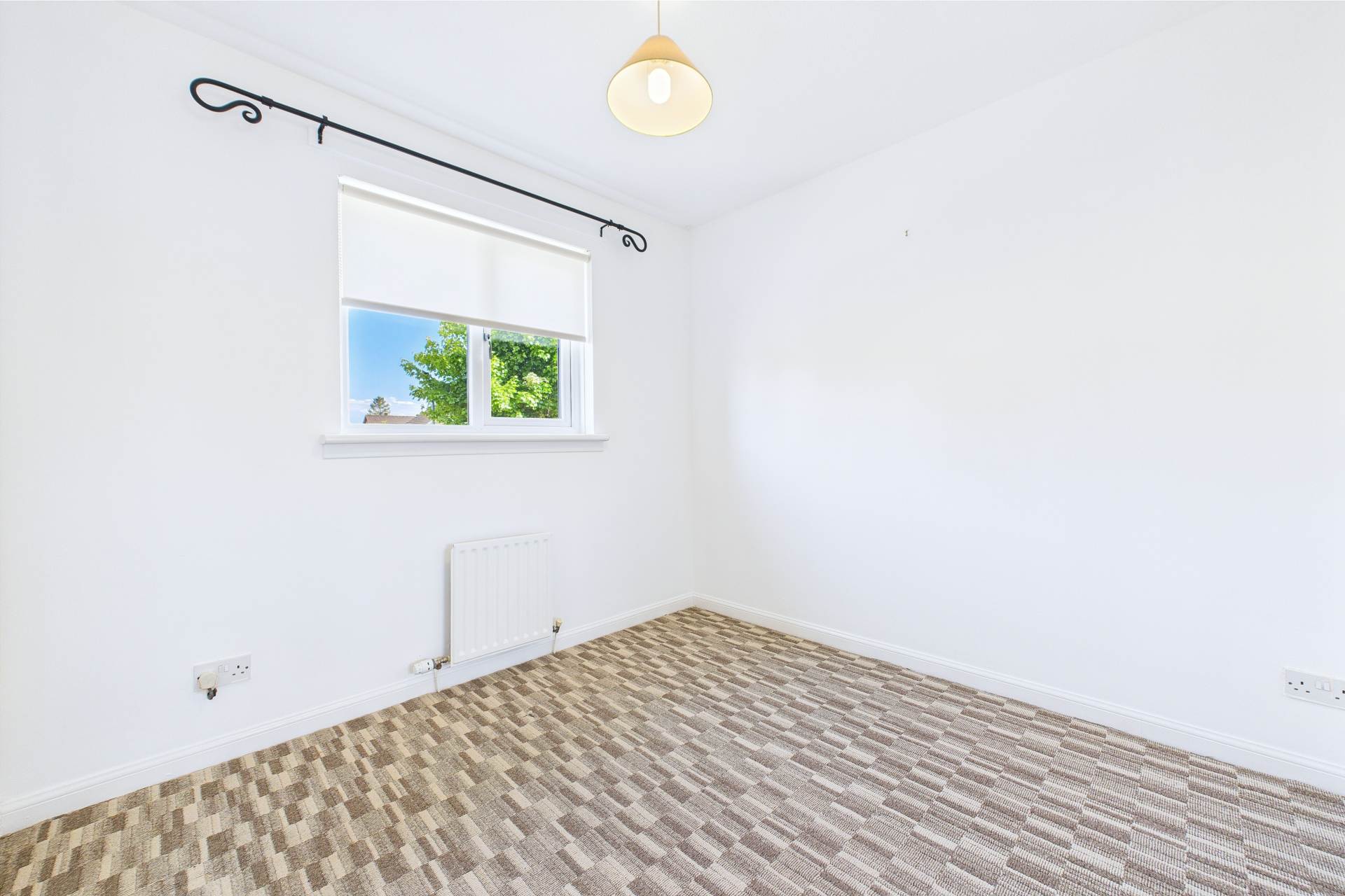 Sunflower Gardens, Motherwell