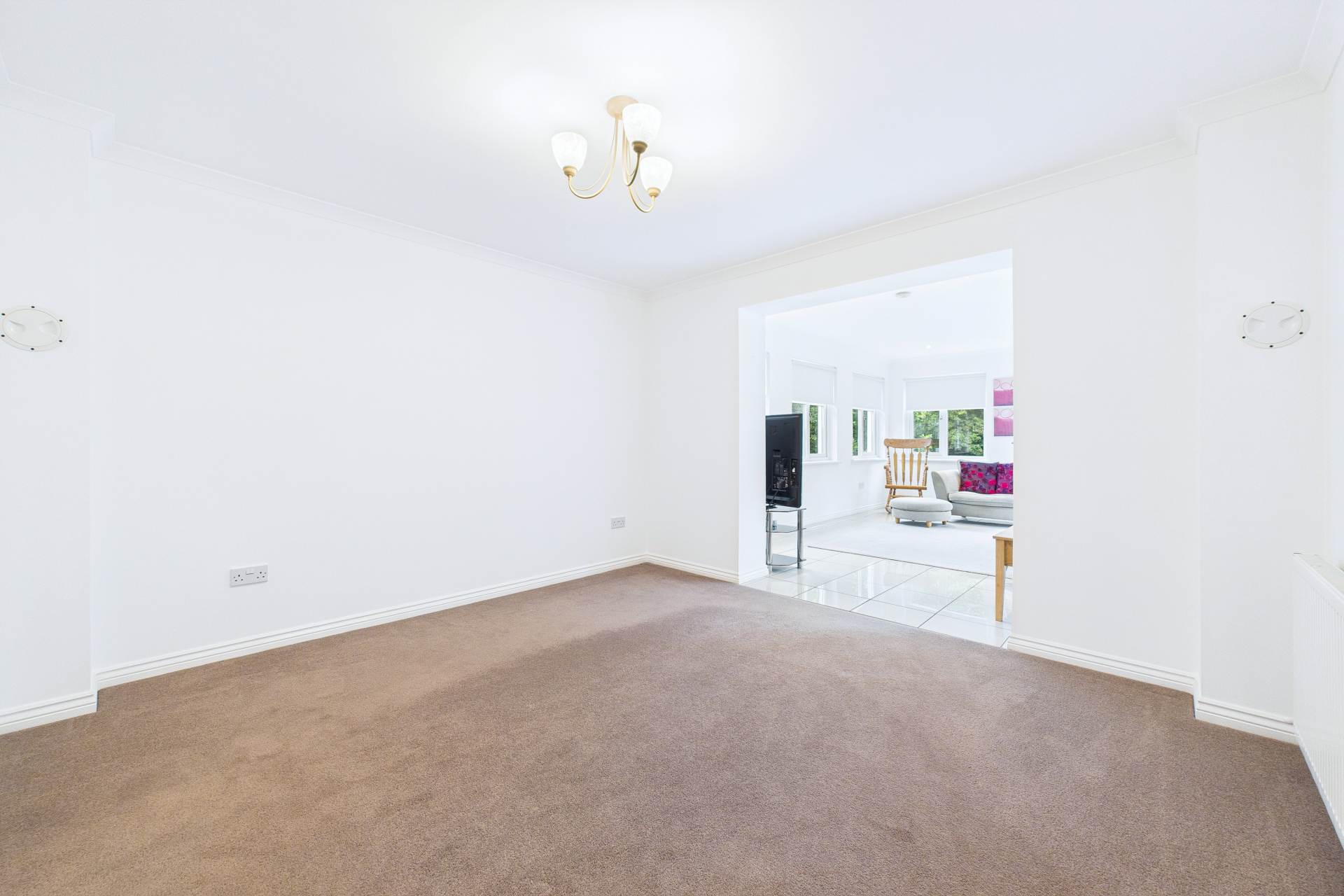 Pembury Crescent, Hamilton