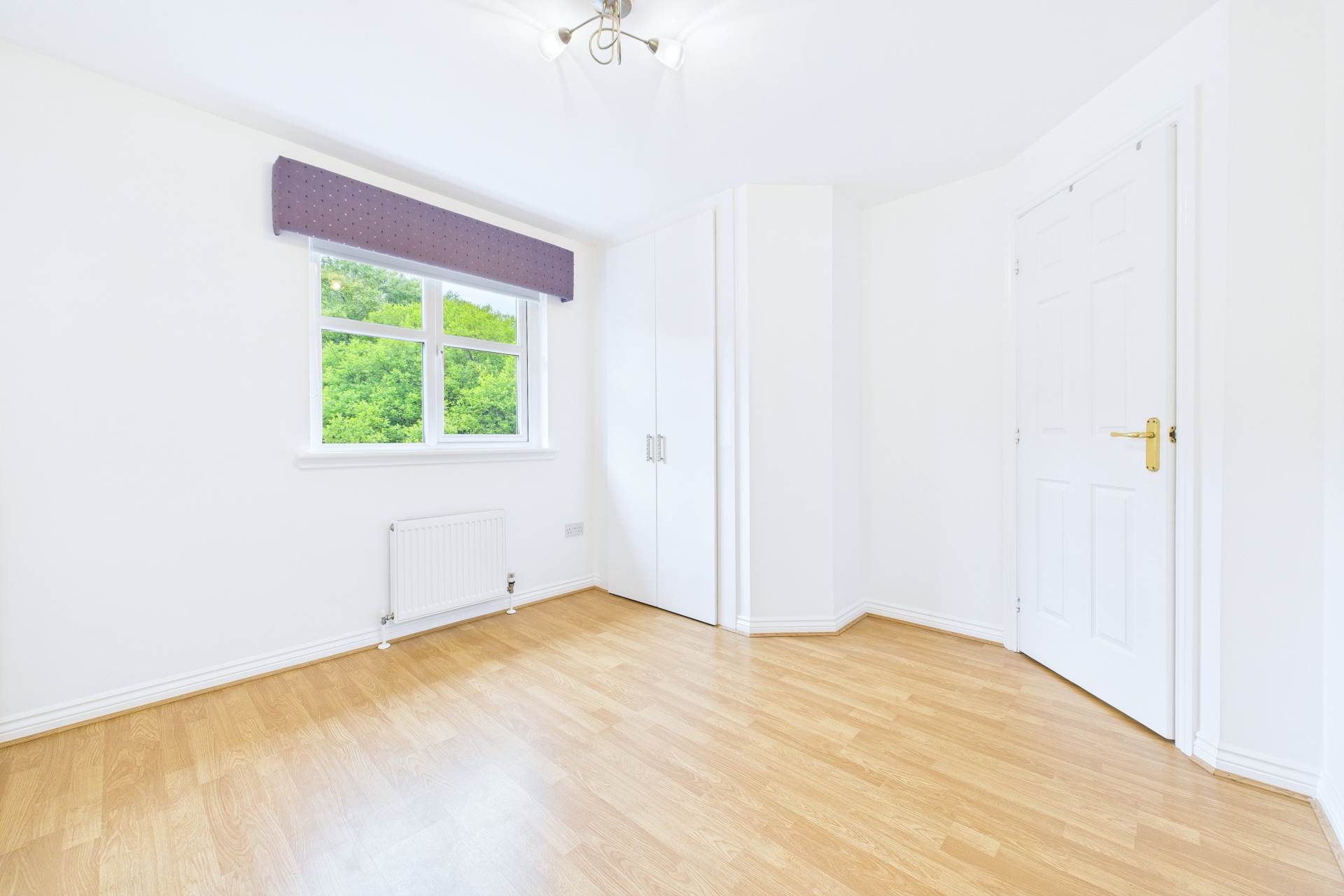 Pembury Crescent, Hamilton