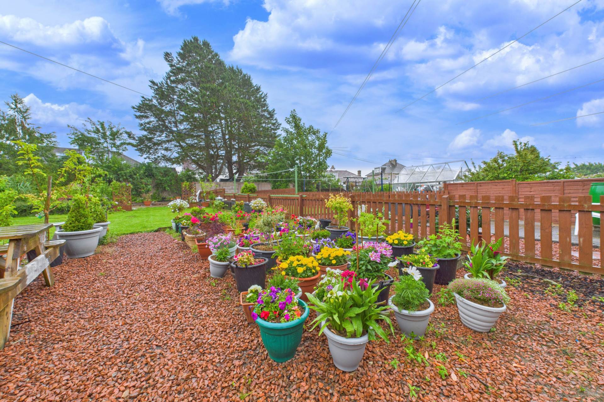 Earnock Avenue, Motherwell