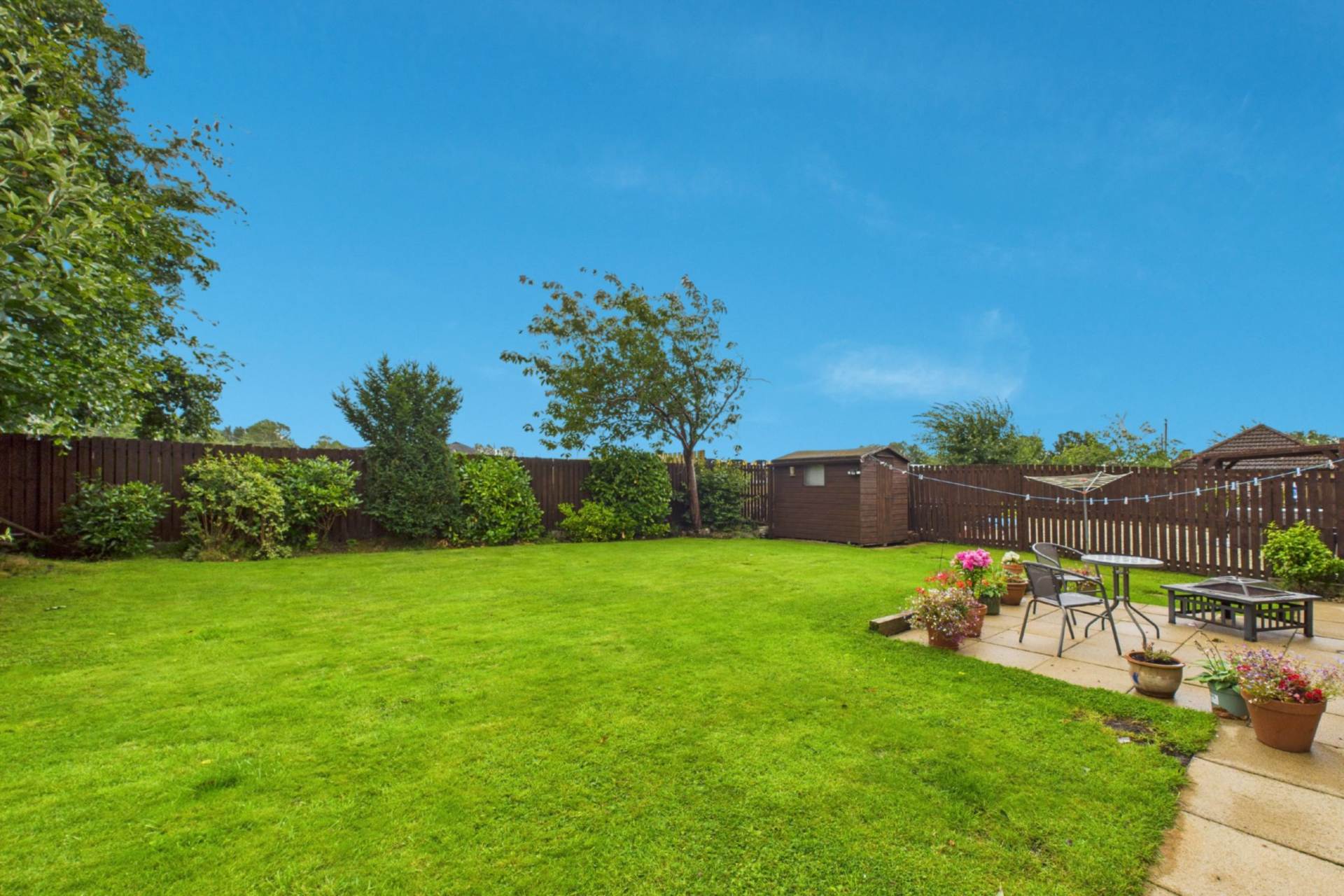 Ashley Grove, Bellshill