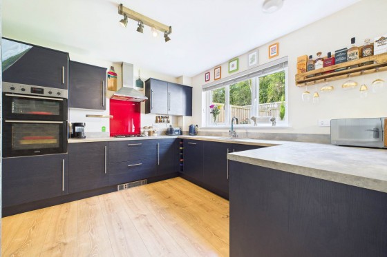 Darleesrig Gardens, Hamilton