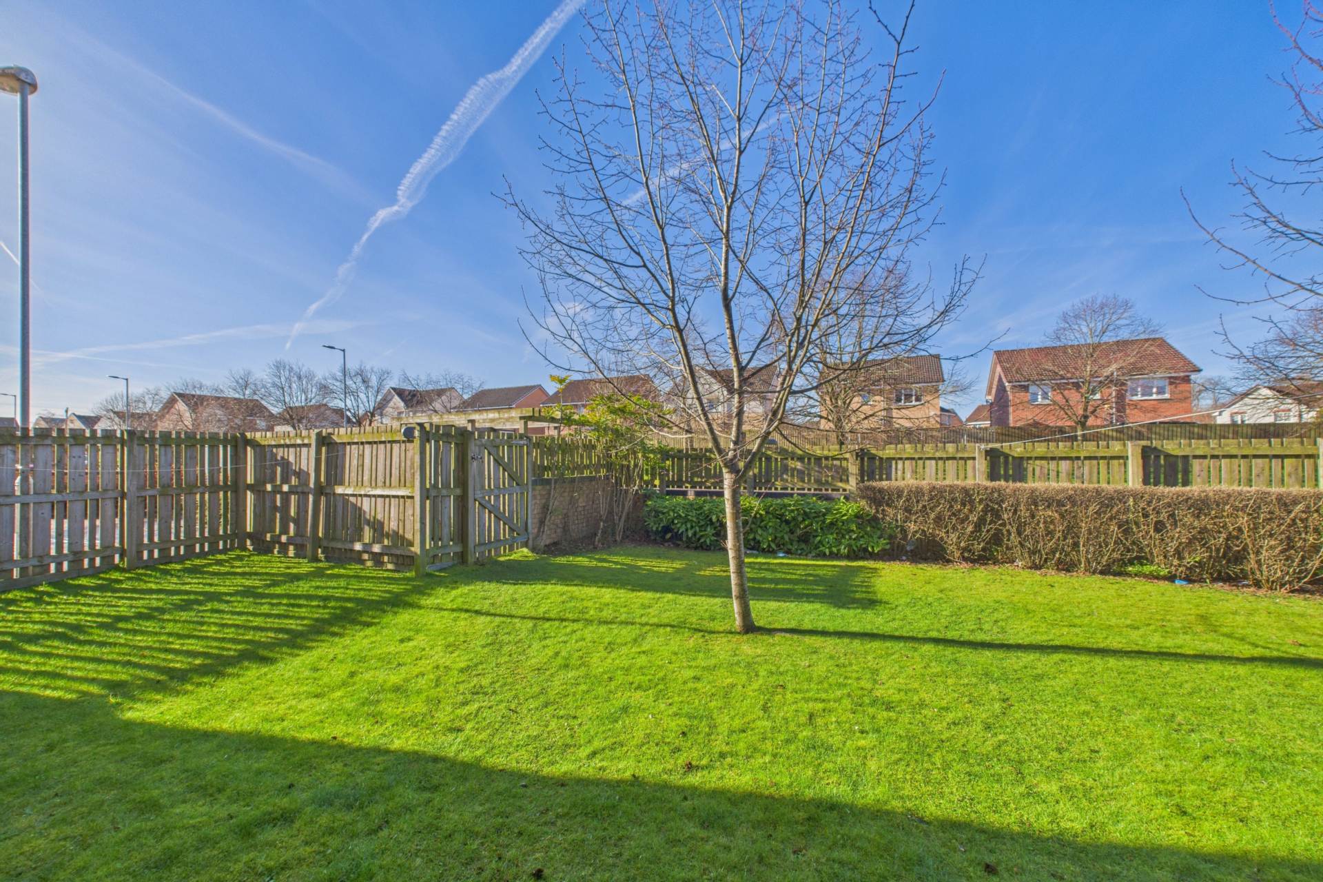 Roxburgh Court, Carfin