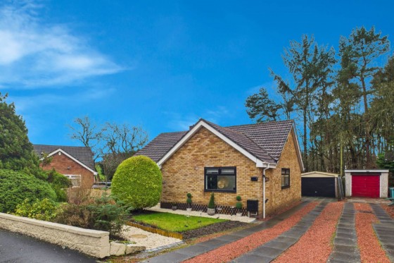 Larchfield Gardens, Wishaw