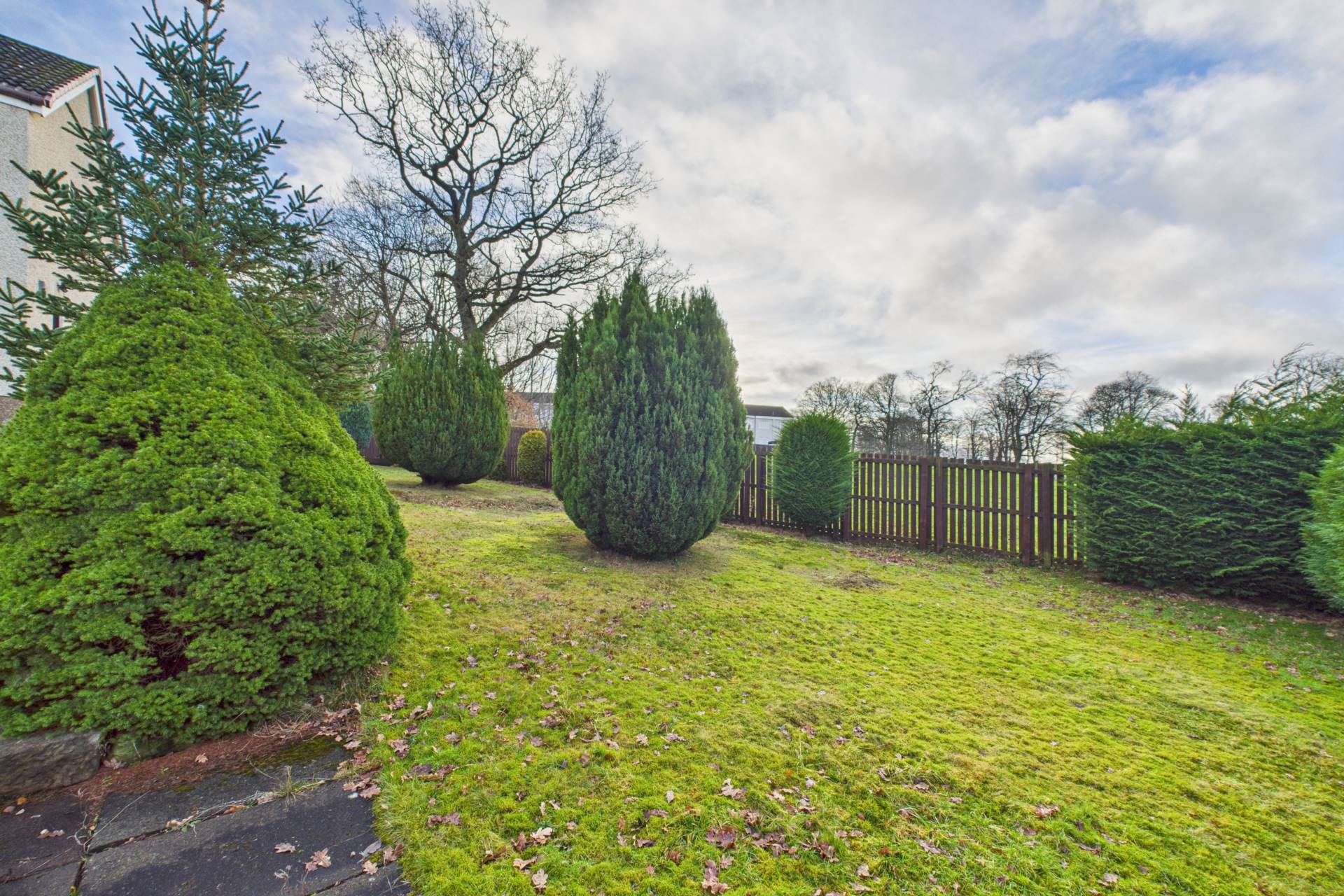 Windrow Terrace, Branchalwood, Wishaw