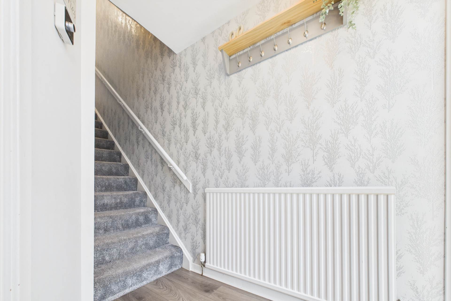 Annan Glade, Motherwell