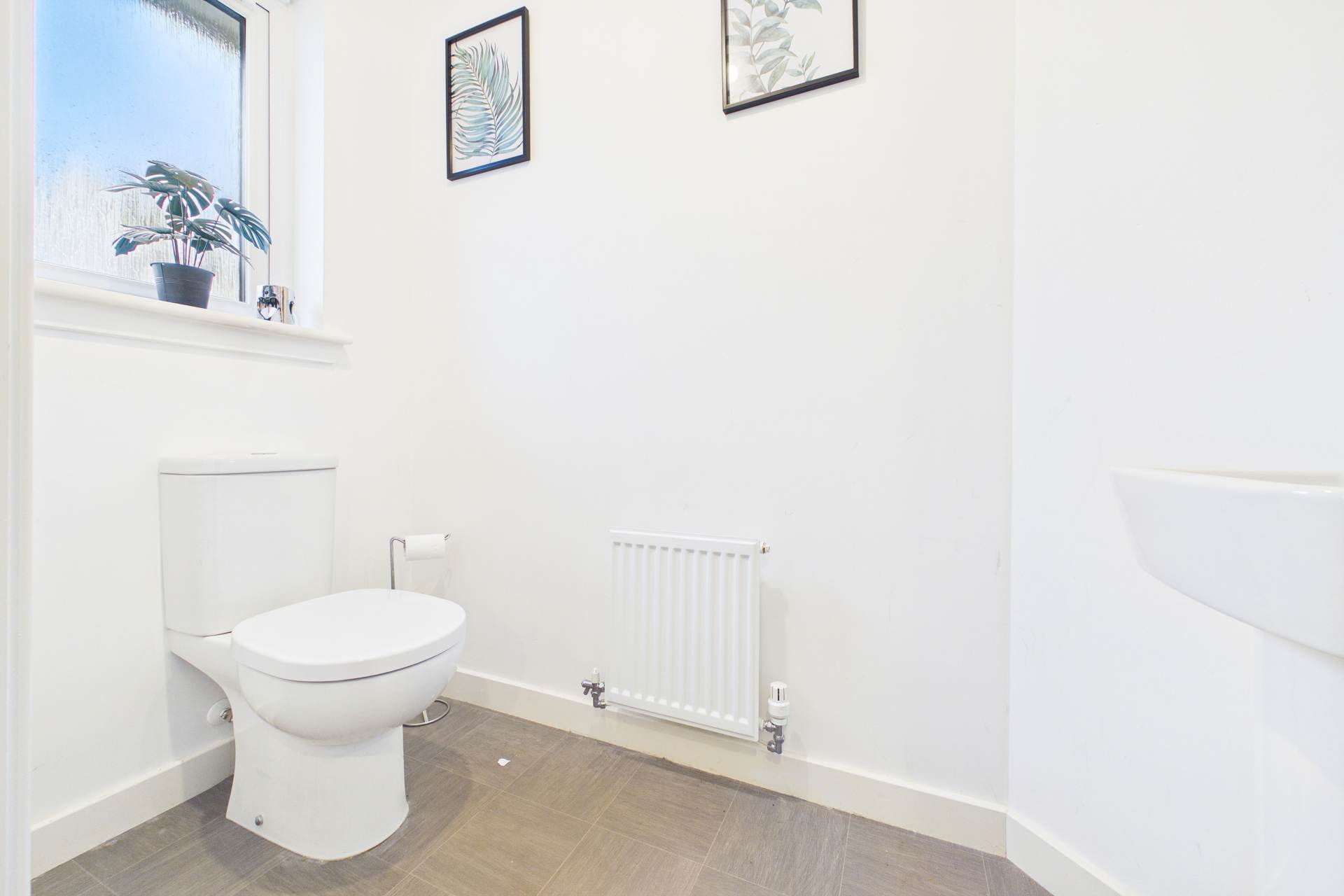 Lotus Crescent, Cleland