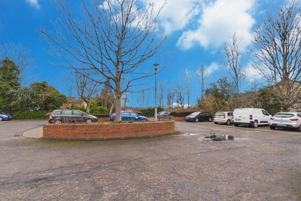 Images for Caird Street, Hamilton