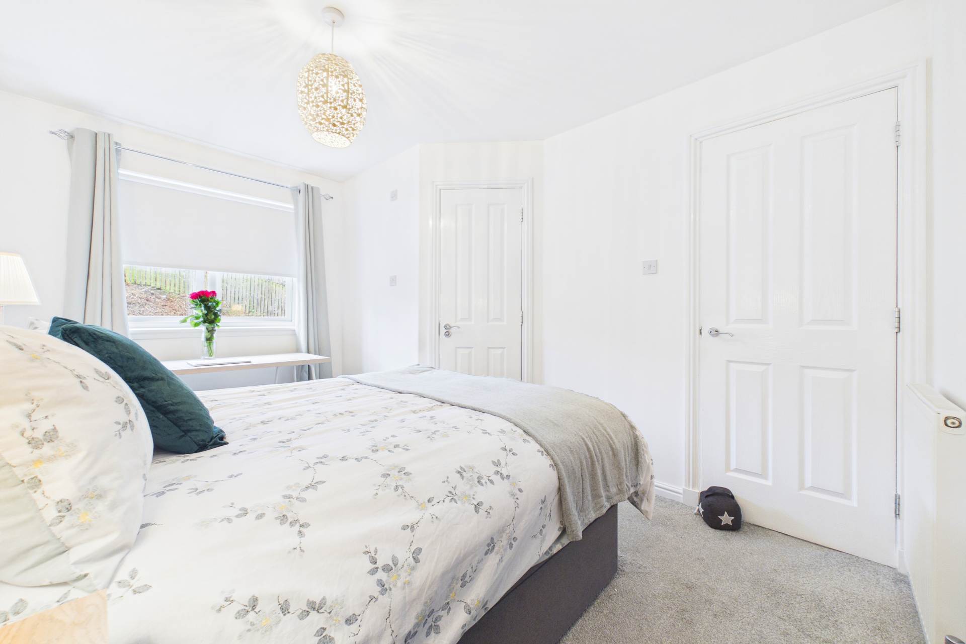 Darwin Avenue, Motherwell