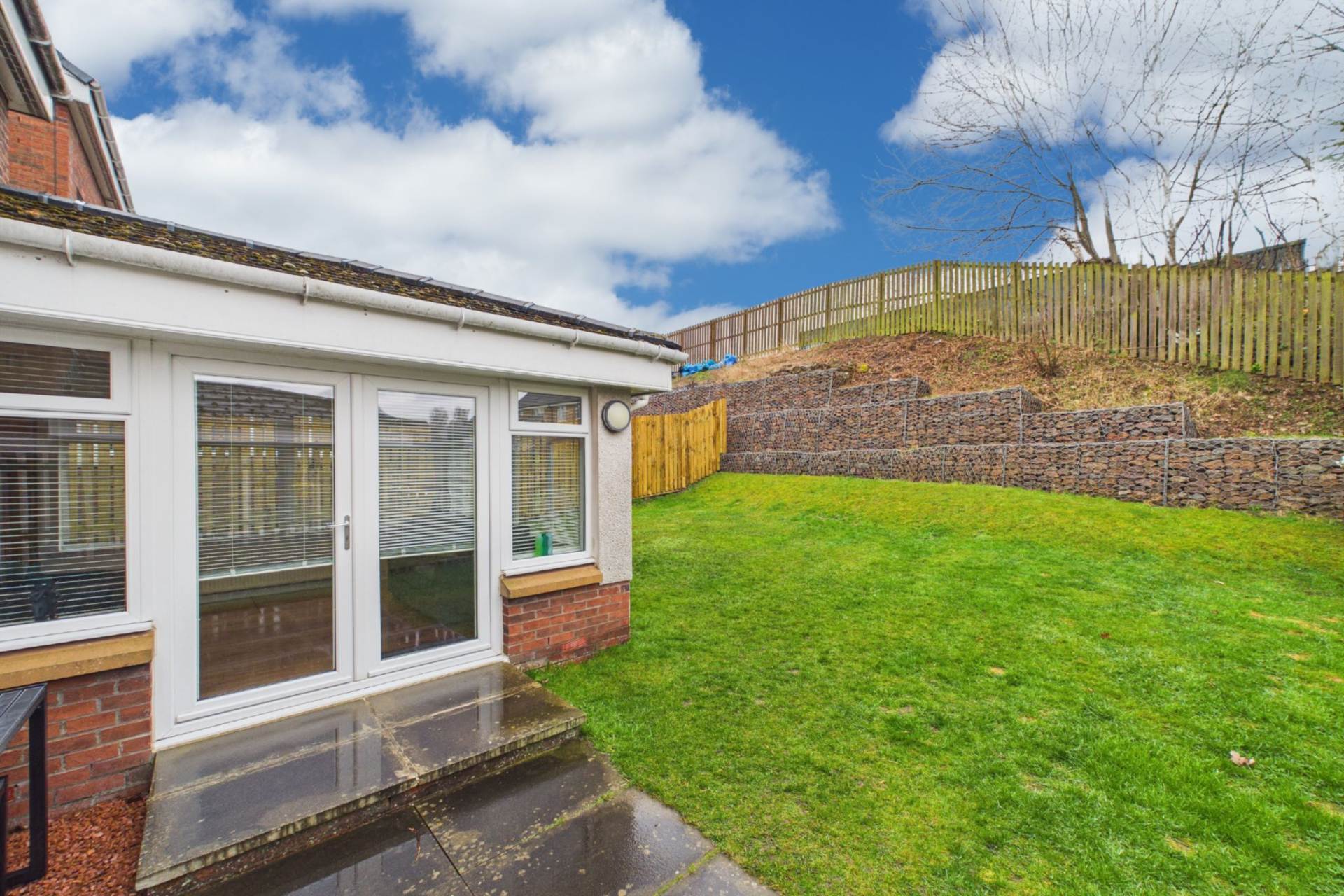 Darwin Avenue, Motherwell