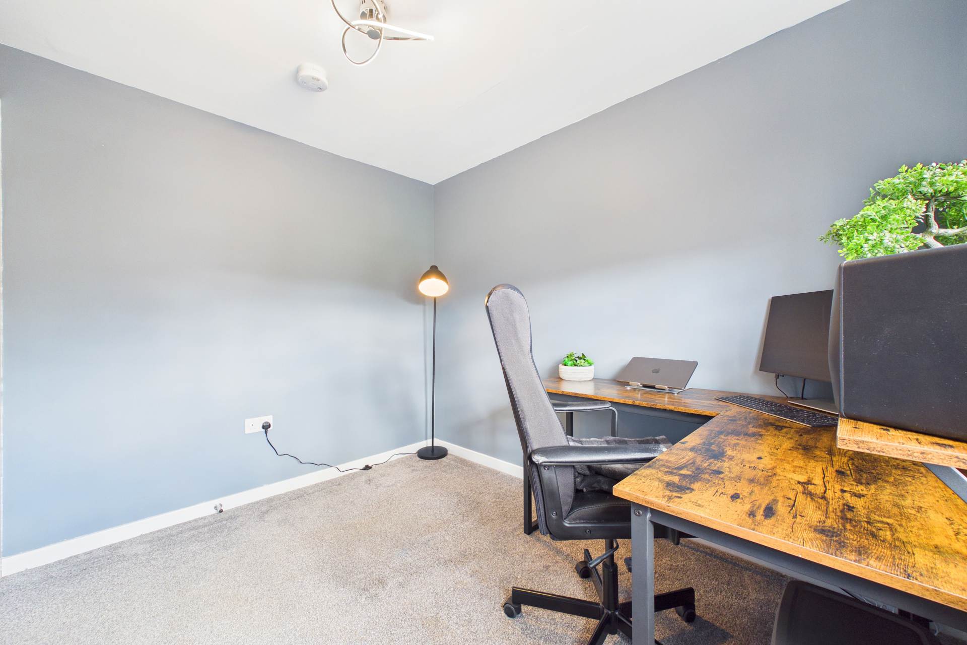 Old Meadow Walk, Wishaw