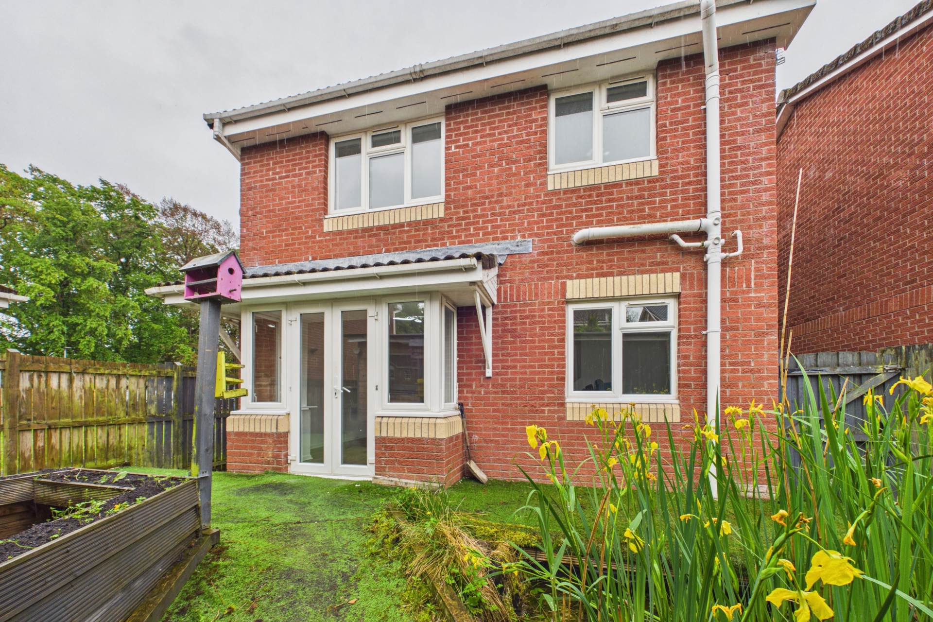 Dunbar Lane, Motherwell
